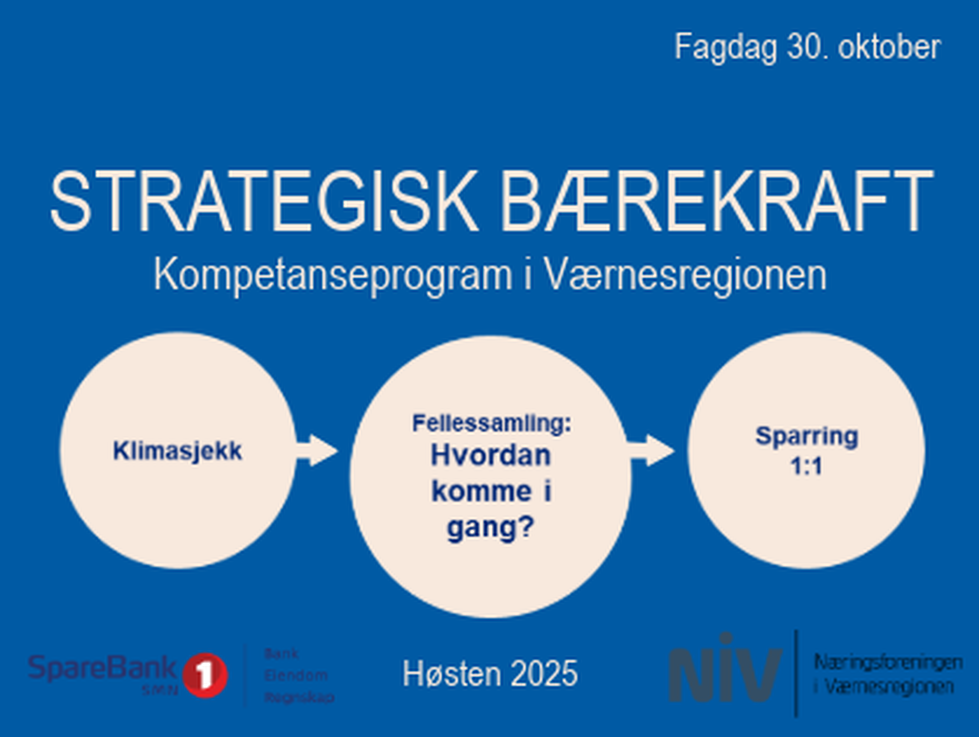 STRATEGISK BÆREKRAFT - kompetanseprogram i Værnesregionen
